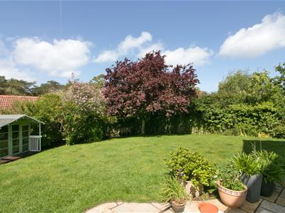 Picture 24